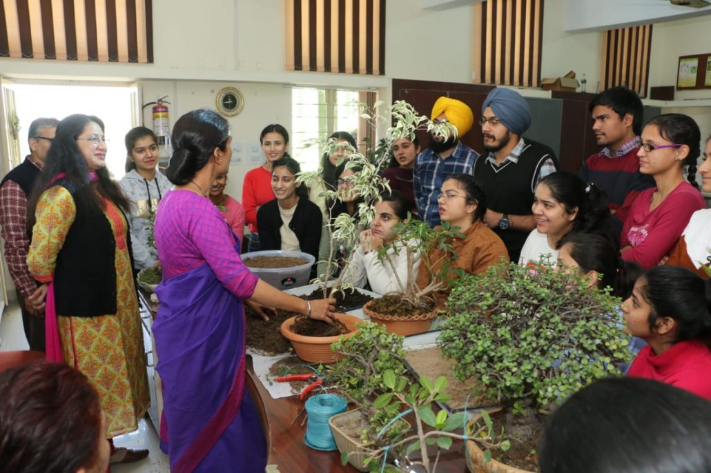 Work shop on Bonsoi organised in Chandigarh
