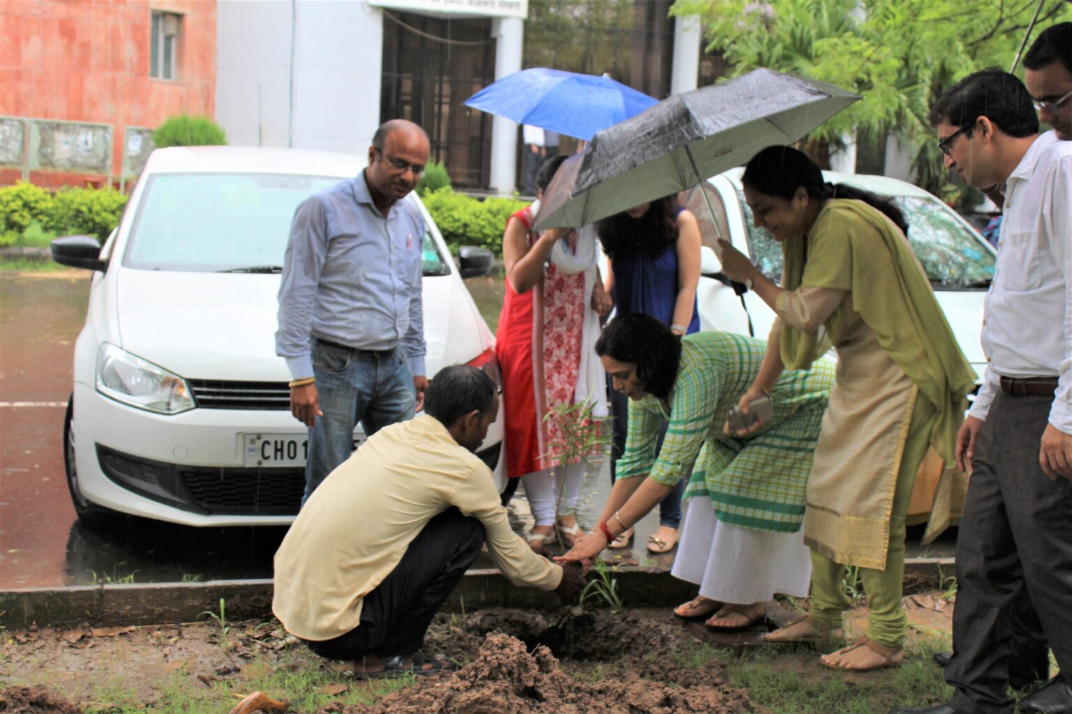 Tree plantation drive by UIAMS
