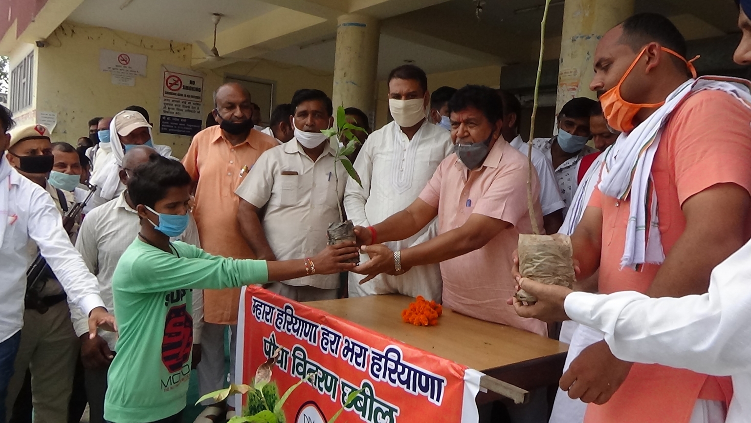 प्रदेश को हरा-भरा बनाने के लिए हर व्यक्ति को पौंधे बांटें गए