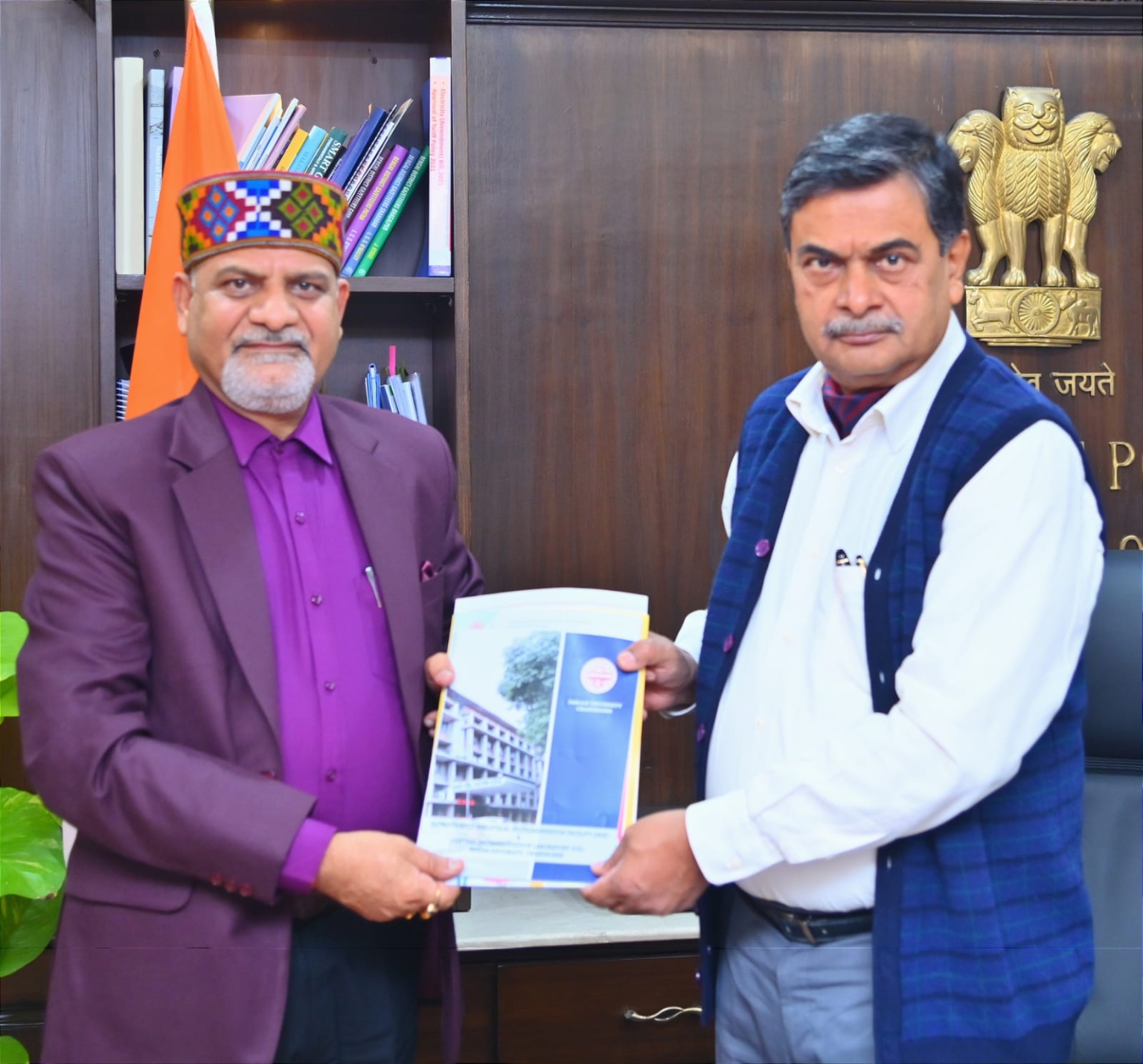 PU VC meets Power Minister