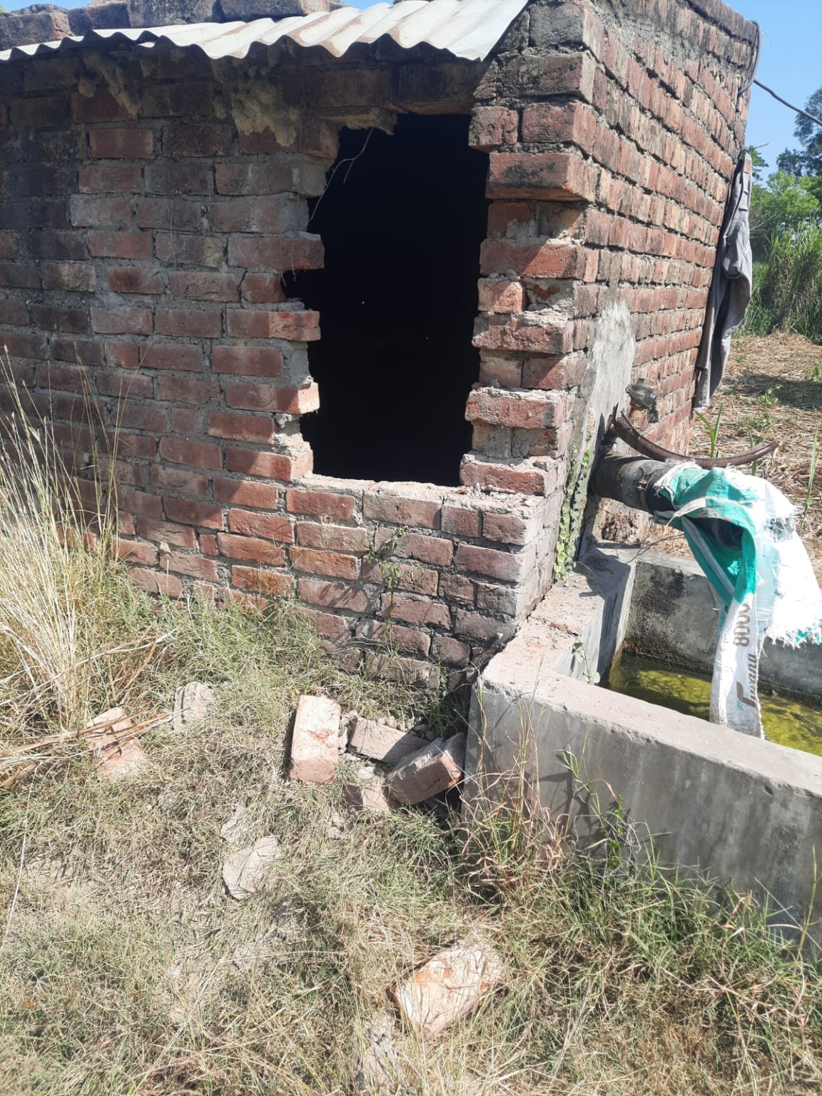 छछरौली क्षेत्र में चोरों का आतंक