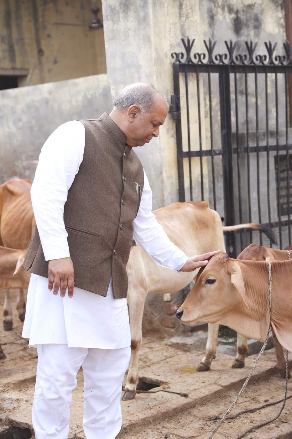 प्रदेश की सभी 624 गोशालाओं में मनाया जाएगा गौसेवा पखवाड़ा – श्रवण कुमार गर्ग