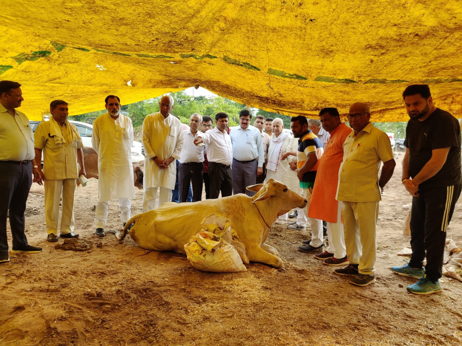 आदरणीय प्रेम गोयल का गोवन में आना,और गोवन का वृंदावन हो जाना