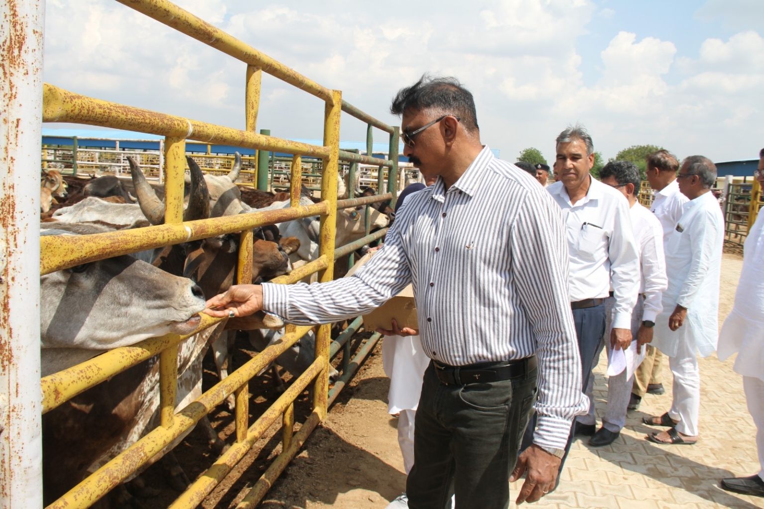 पशुपालकों को दिया गया समय हुआ समाप्त, अब पशुओं को खुला छोड़ा तो सख्ती से निपटेंगे : श्रीकांत जाधव