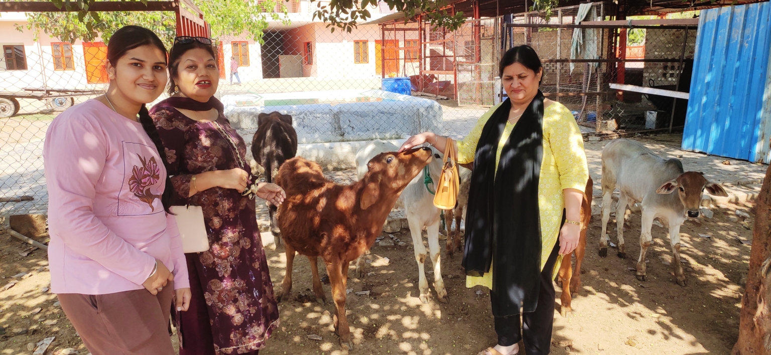 ॐ हरे कृष्ण सुदामा गौशाला गांव गोचर जिला मोहली को पच्चीस हजार रूपए भेंट