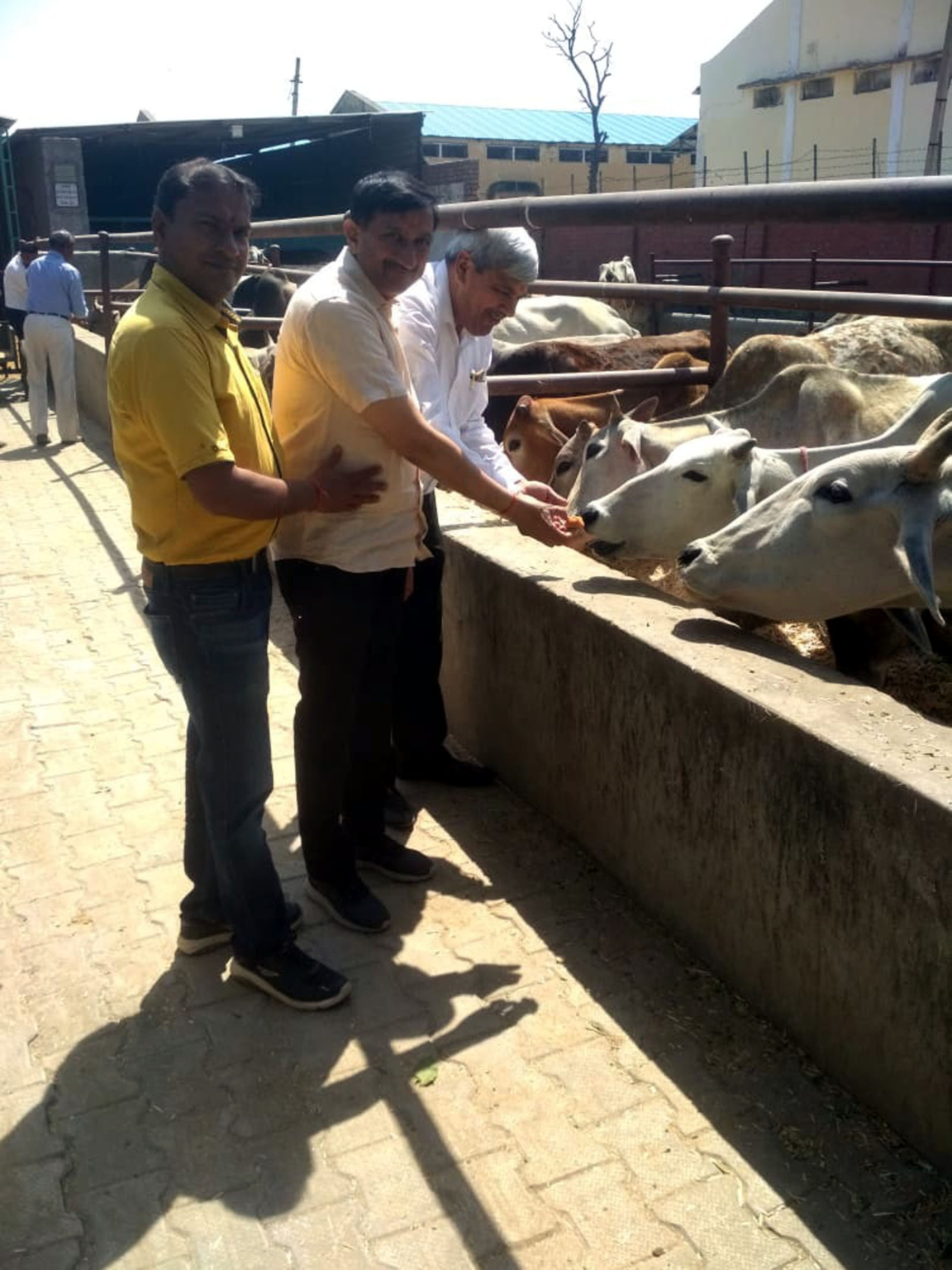 अखिल भारतीय सेवा संघ ने हवन कर गौमाता को खिलाया चारा