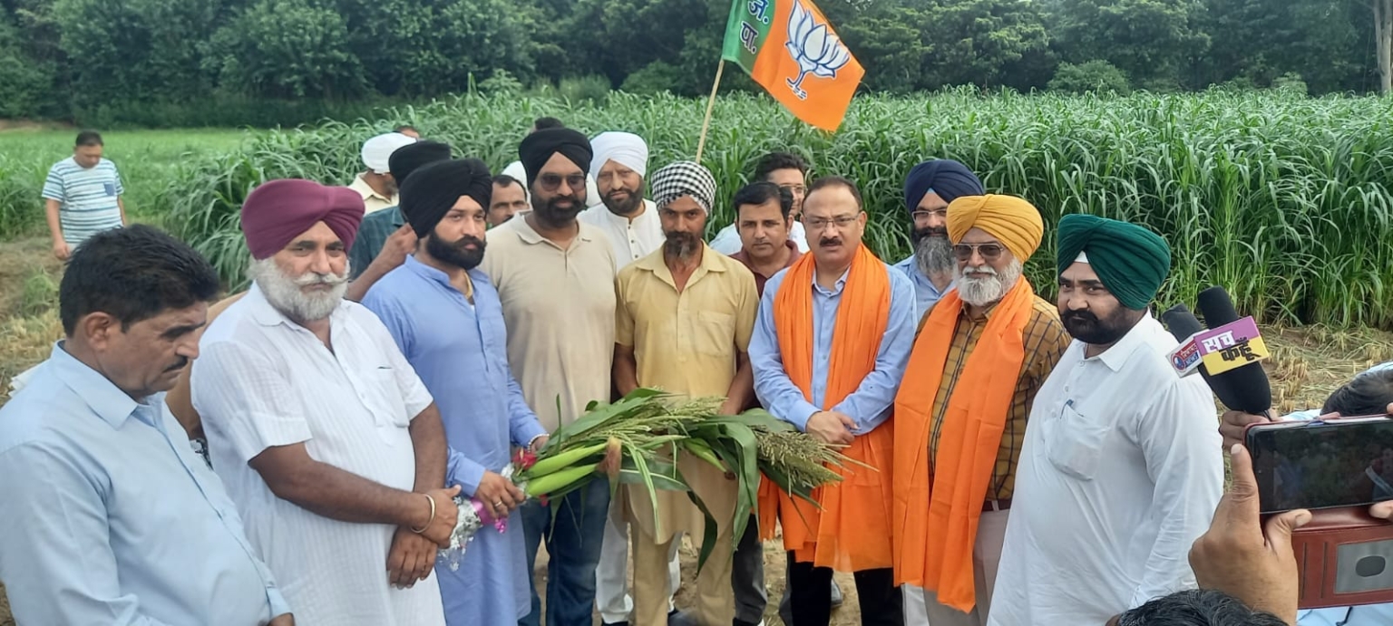 चंडीगढ के किसानों ने विशेष यूरिया पैकेज की घोषणा के लिए मोदी का धन्यवाद  करते हुए बाजरा,मक्की, ज्वार से बना गुलदस्ता किया अरुण सूद को भेंट