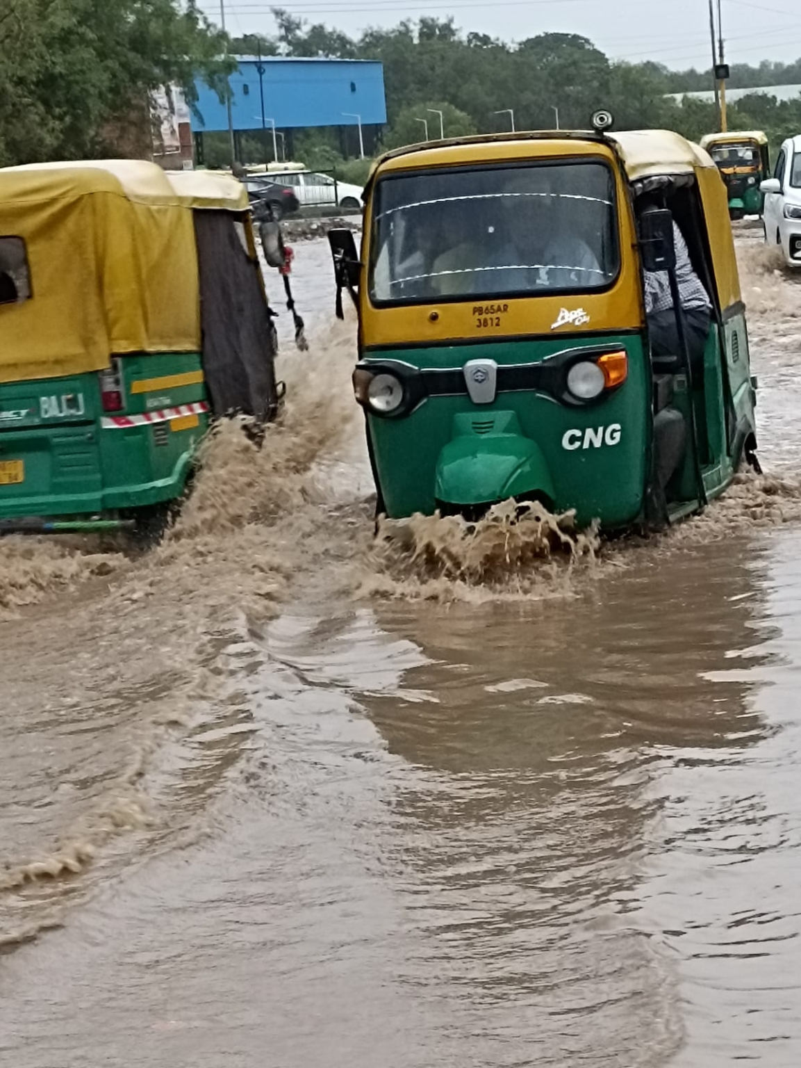 डीएमसी कॉलोनी में खुली नगर निगम के दावों की पोल