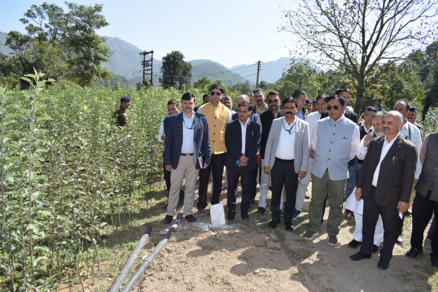 हिमाचल को देश का फल राज्य बनाना प्रदेश सरकार का संकल्प : जगत सिंह नेगी