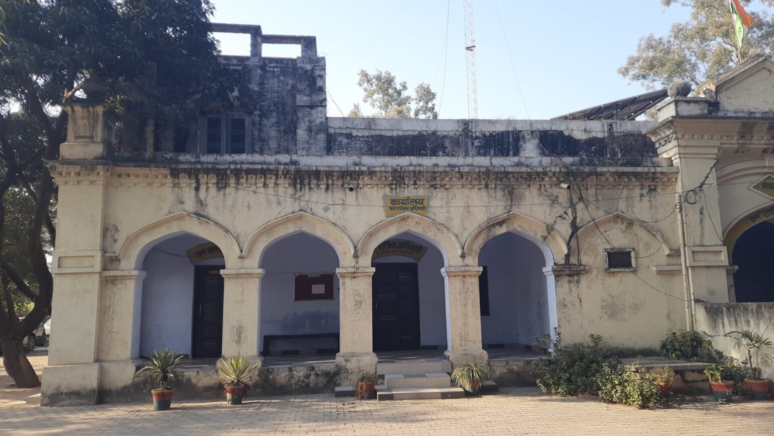 तस्करों के निशाने पर यमुनानगर मे खैर के जंगल  khair-forests-in-yamunanagar