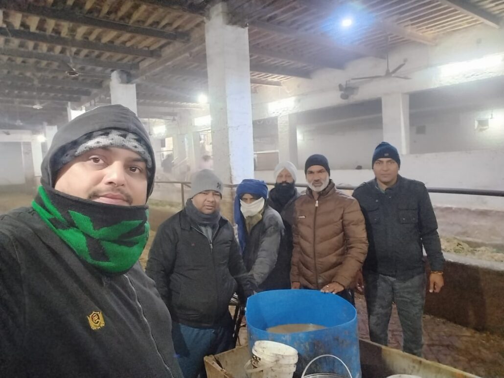 भारत विकास परिषद युवा विंग ने गौशाला में लगाई सवामनी Savamani in the cowshed