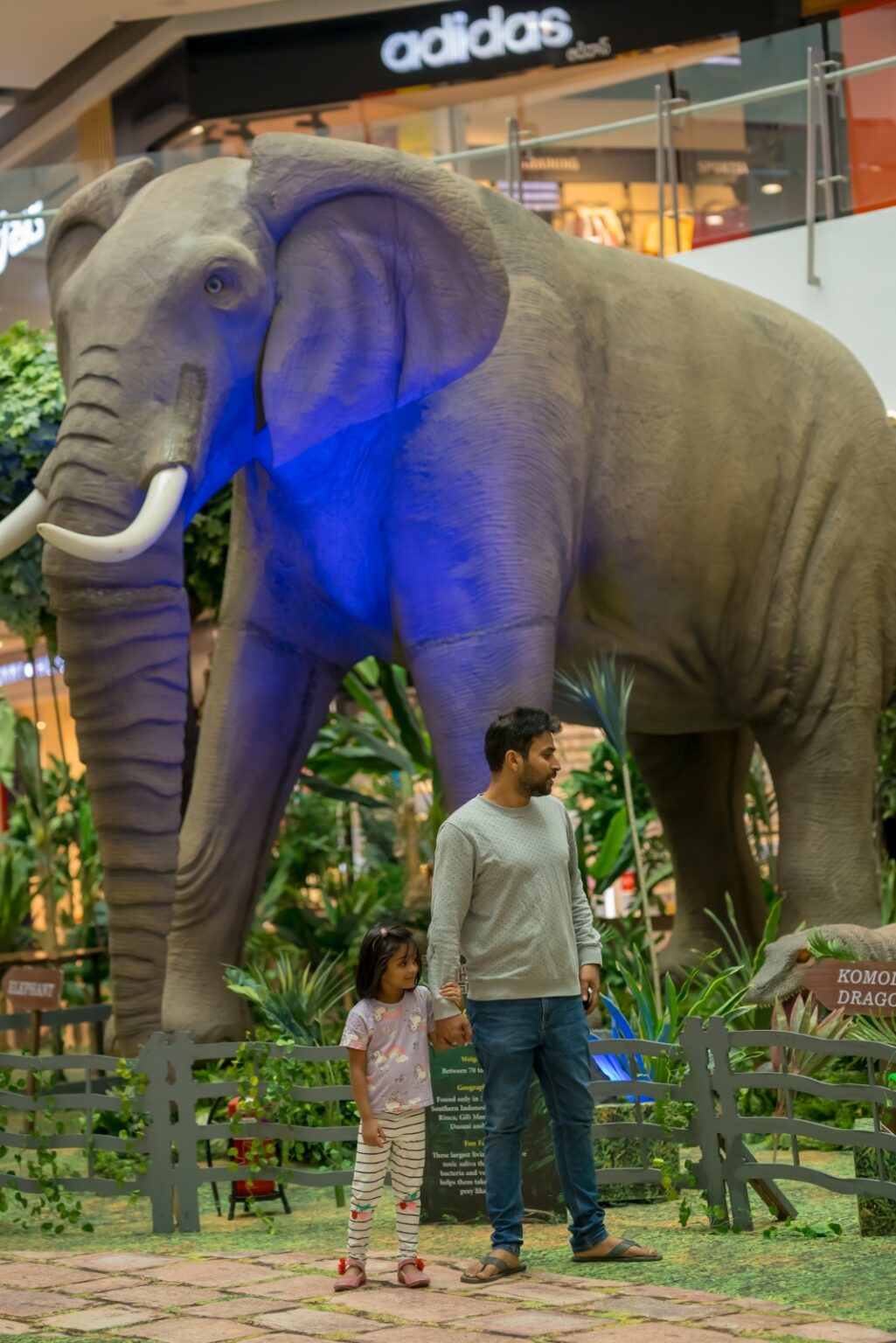 नेक्सस एलांते मॉल की 12वीं वर्षगांठ पर ‘द जंगल टेल्स’ The Jungle Tales