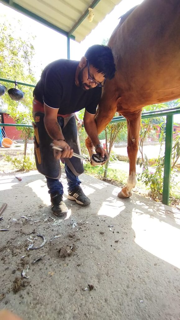 स्थानीय फर्रियरों के पास उचित औजार और प्रशिक्षण की कमी है : हरप्रीत सिंह Local farriers