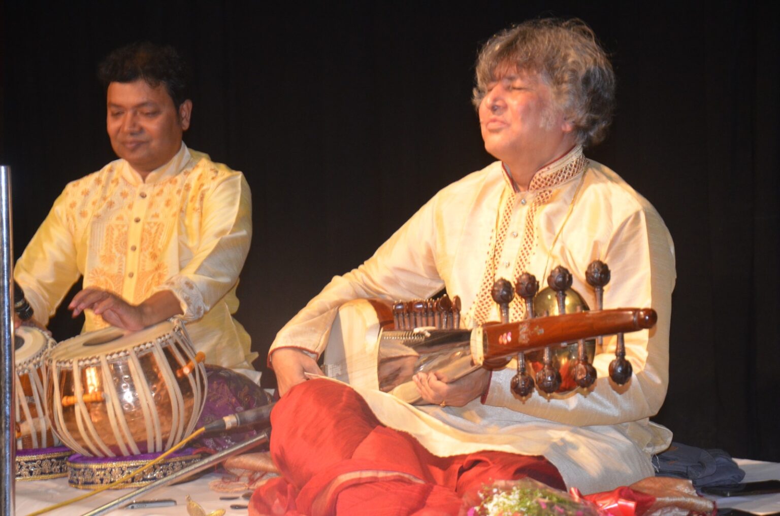 sarod instrument