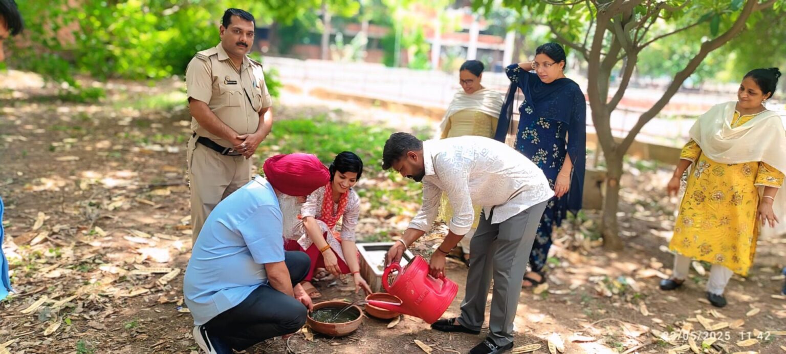 पीयू के भू-विज्ञान विभाग की ओर से पक्षियों के लिए जल पात्रों की व्यवस्था की गई  Department of Geology