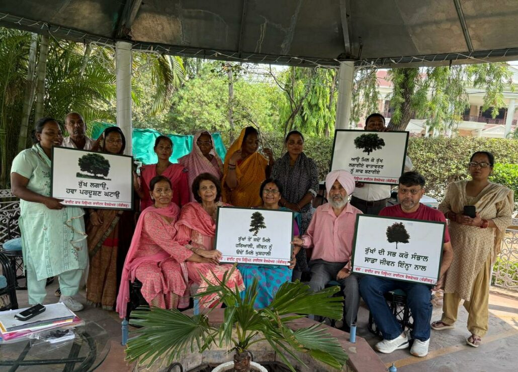 समाजसेवी संस्थायो ने पौधे लगाने के लिए किया जागरूक Social organizations