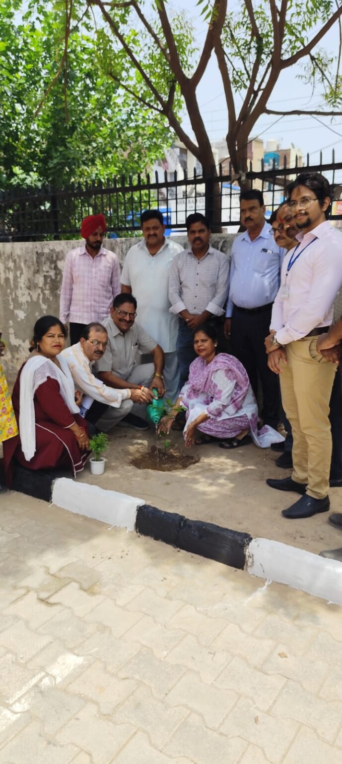 इंदिरा कॉलोनी के कम्युनिटी सेंटर में किया पौधारोपण Indira Colony
