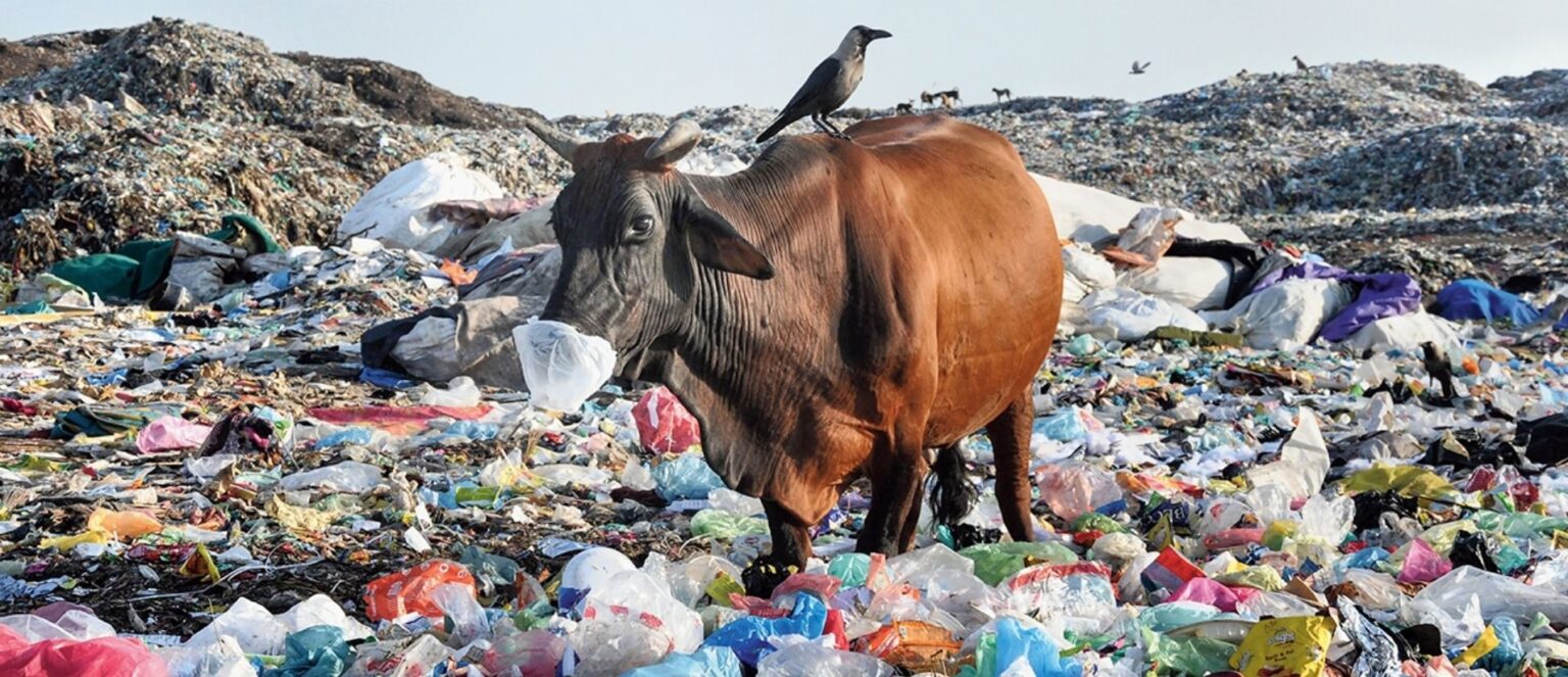 श्री सनातन समाज चेरिटेबल ट्रस्ट द्वारा प्लास्टिक मुक्त समाज की ओर एक अपील plastic free society